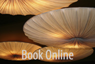 Salon Events Calendar